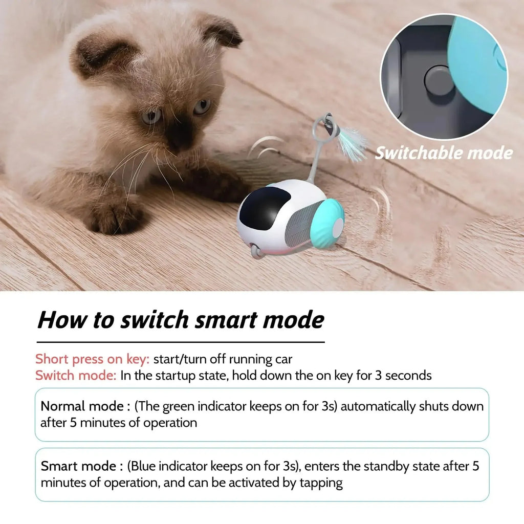 Blue remote control toy car for cats with feather teaser attachment on USB charging cable