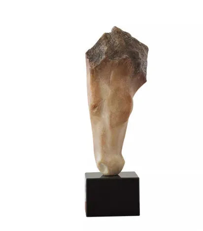 French retro abstract horse head sculpture ornament with carved surface finish