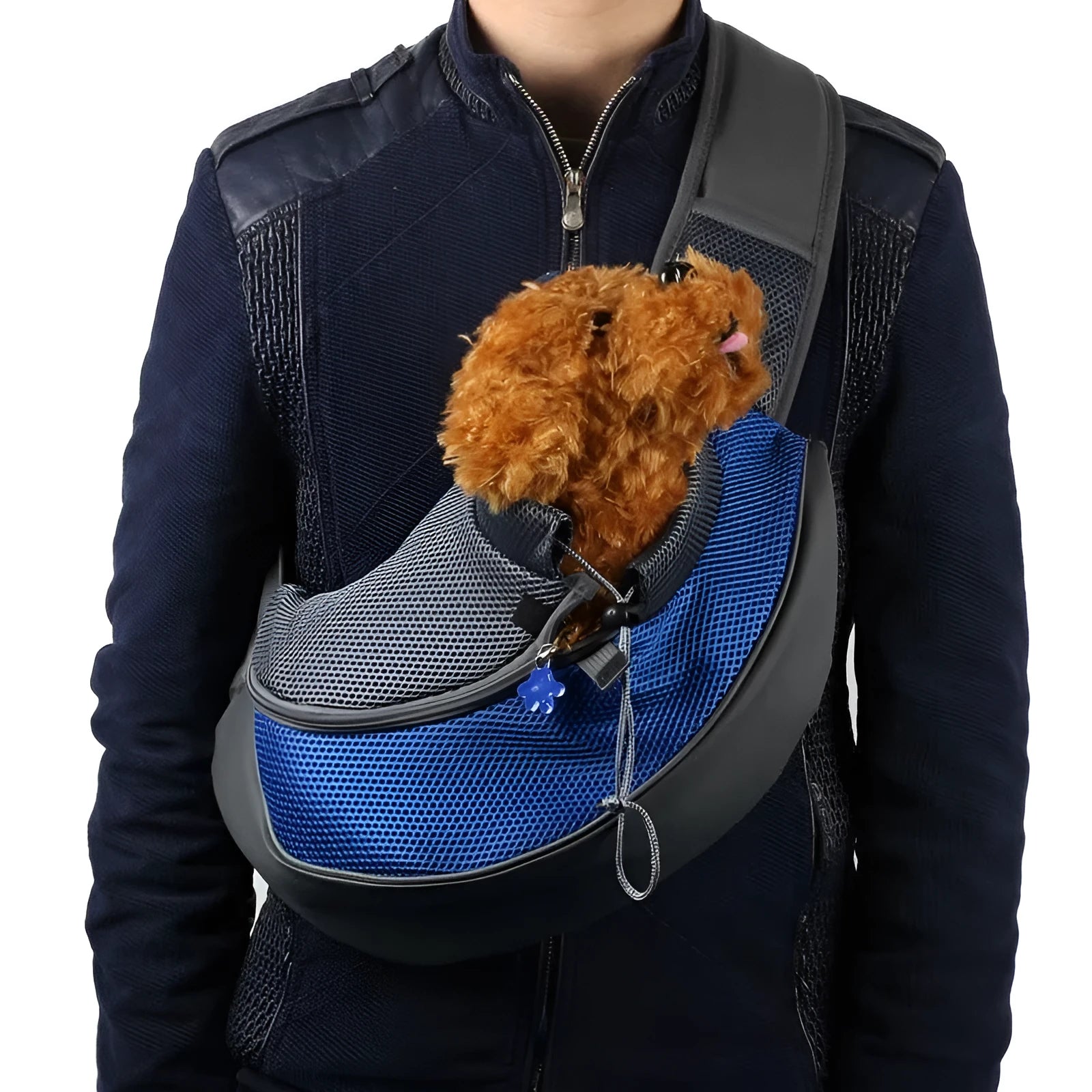 Polyester pet backpack carrier for small dog or cat, shown in blue colour with shoulder straps.