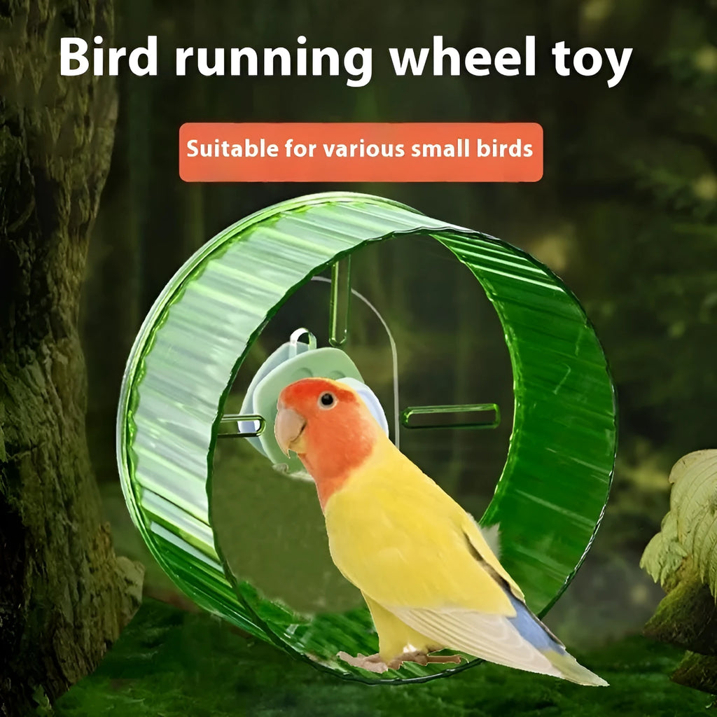 Plastic parrot running wheel toy for bird exercise in green colour
