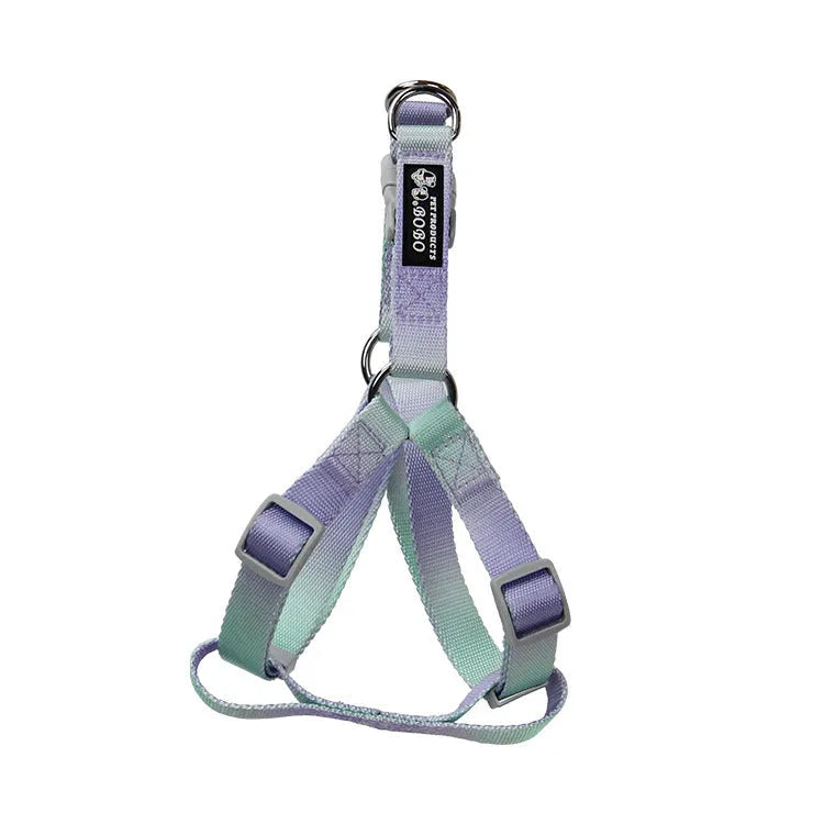 Gradient colour dog leash set showing pink and blue nylon collar and chest strap harness options