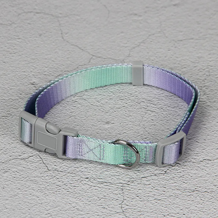 Gradient colour dog leash set showing pink and blue nylon collar and chest strap harness options
