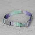Gradient colour dog leash set showing pink and blue nylon collar and chest strap harness options