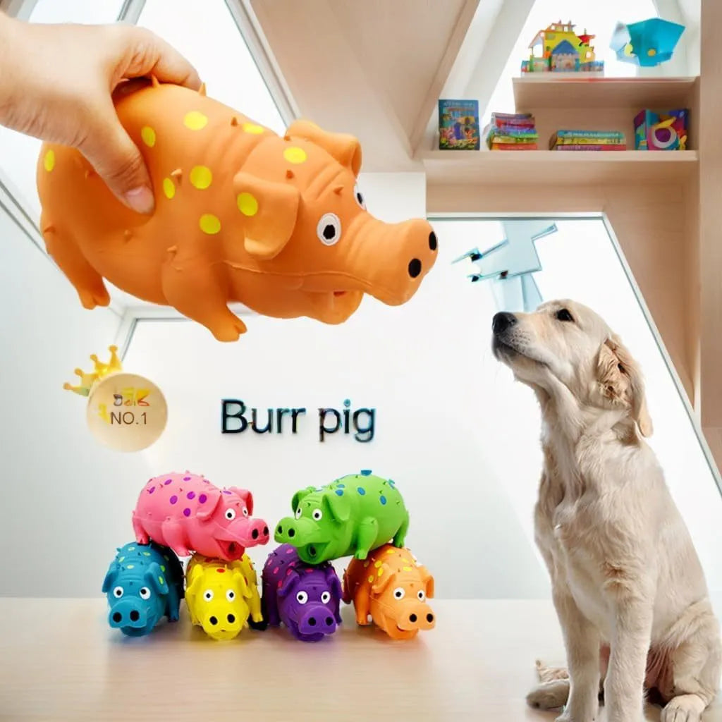 Latex pig-shaped squeaky dog chew toy with textured surface in assorted colours
