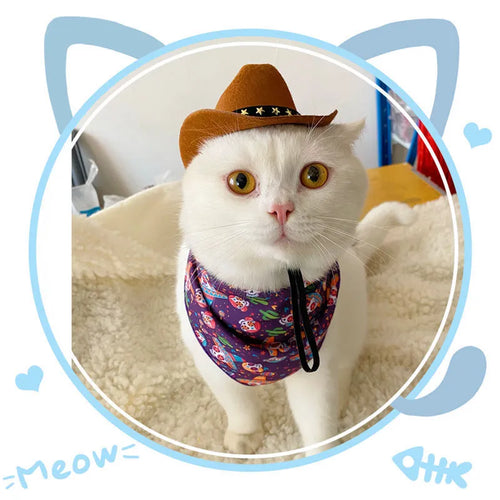 British cowboy style hat for cats with decorative velvet belt trim