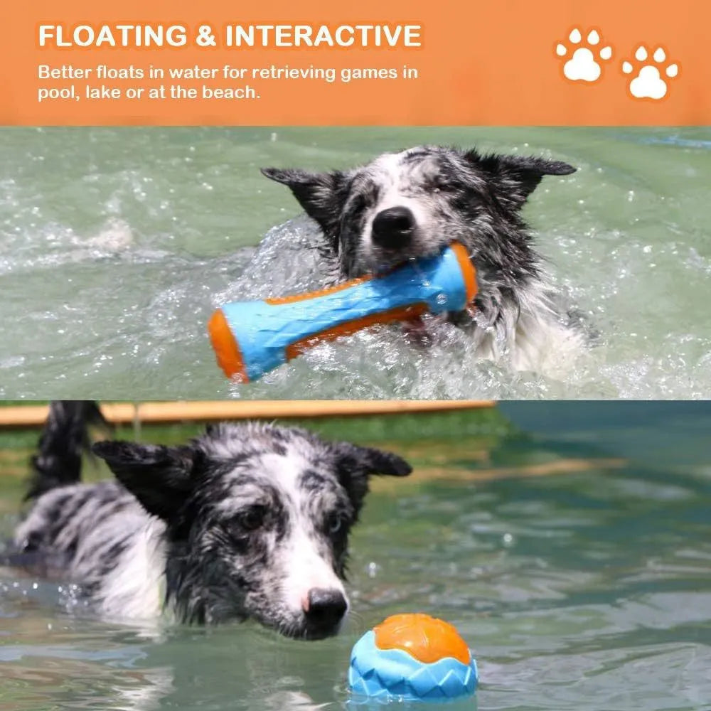 Set of four floating TPR dog toys: a squeaky ball, barbell, and two tires for water fetch.