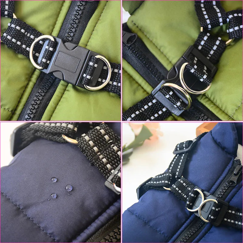 Red waterproof dog coat with integrated harness on a Labrador, showing the rain silk fabric and sizing options.