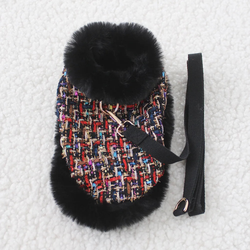 Dog wearing cloak costume with chest strap and matching traction rope in beret or bow style
