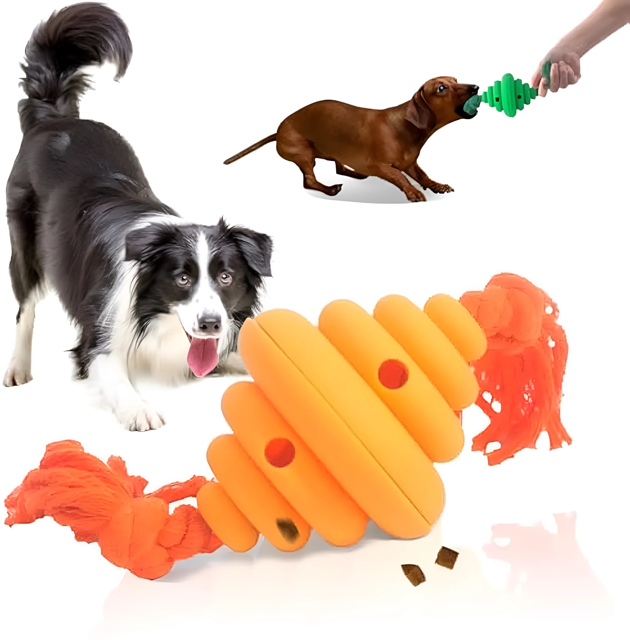 Green dog ball with rope toy showing split design and food dispenser hole