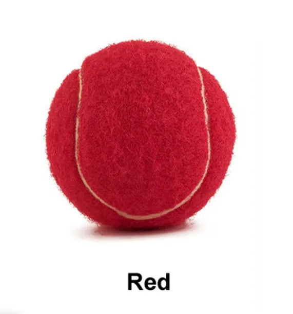 Rubber dog tennis ball in assorted bright colours with 6.3cm diameter for bite-resistant fetch play