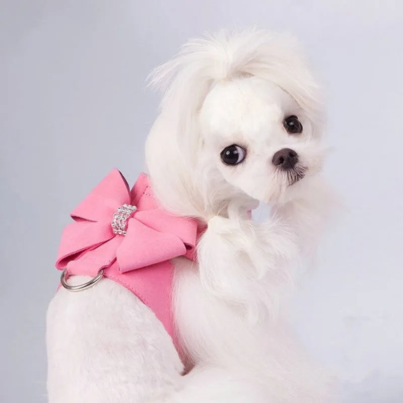 Dog wearing microfiber chest strap with decorative bow knot in blue colour