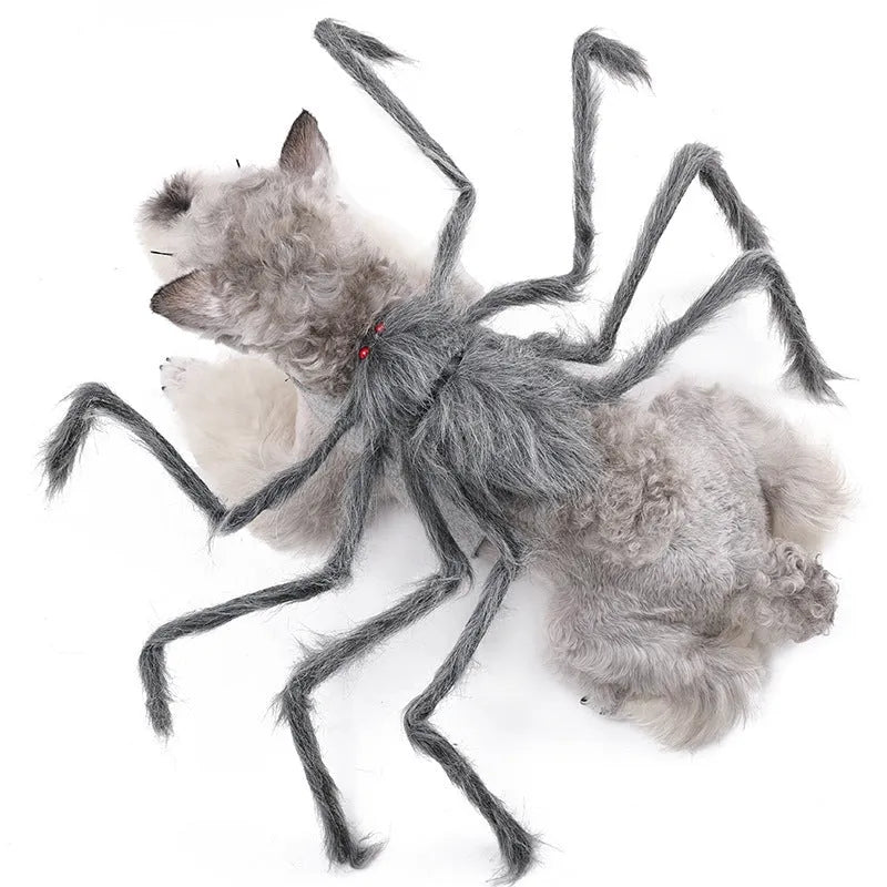 Halloween spider costume for pets in polyester fabric shown in available colours