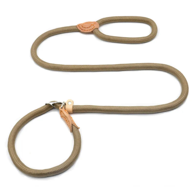 Blast race training dog leash with integrated P rope collar in multiple colour options.