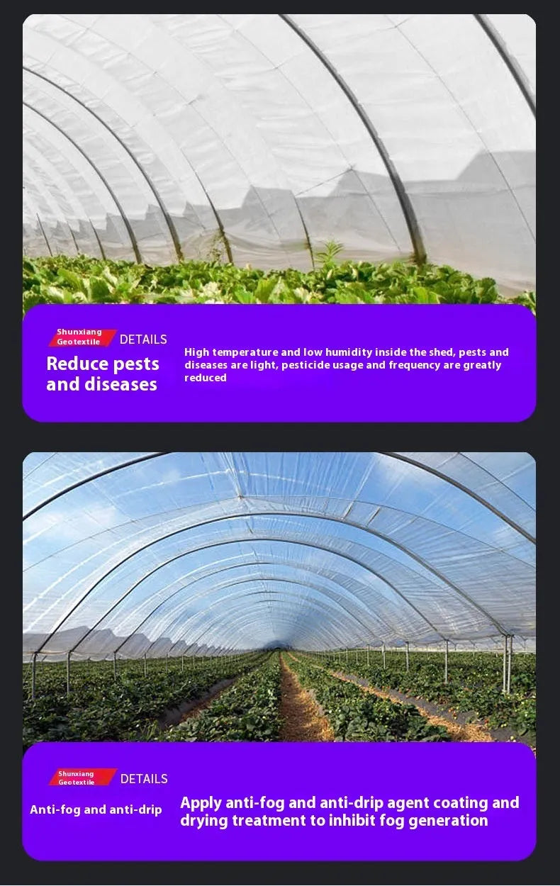 4x8 metre plastic greenhouse film for vegetable cold protection in garden setting