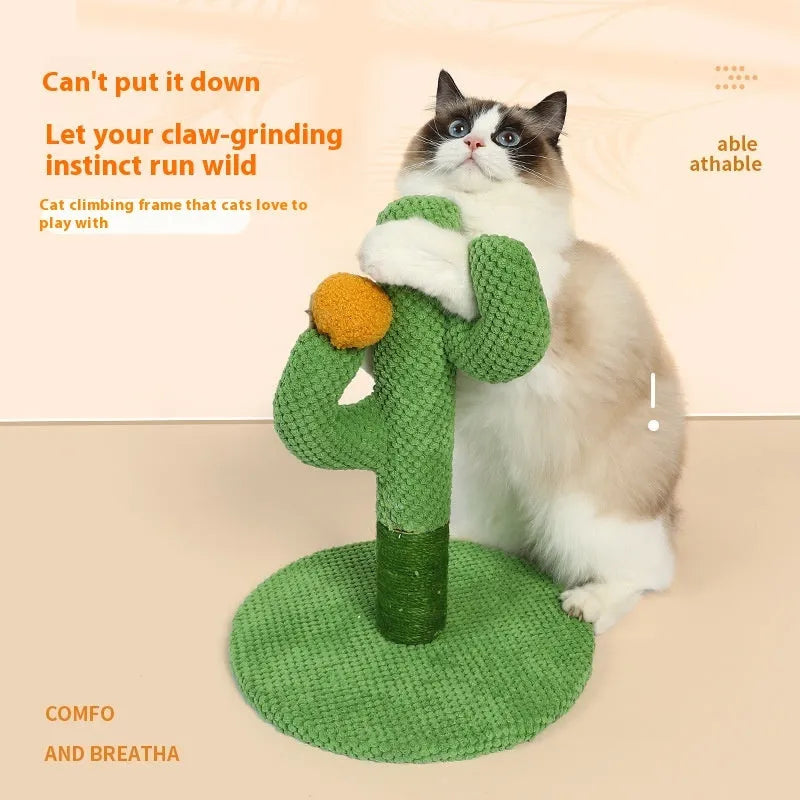 Masson cat scratch board with sisal scratching surface and cactus design climber for pet cats.