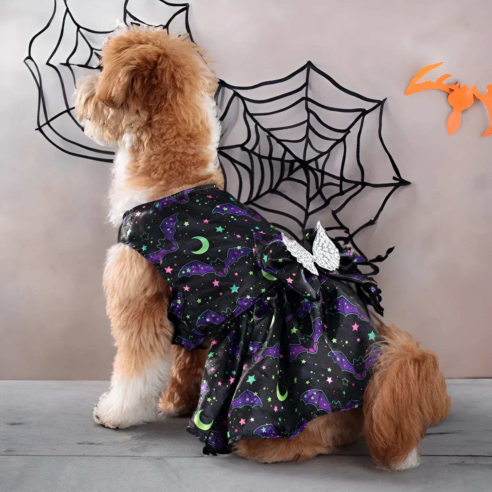 Angel wings Halloween dog costume in bright bat or pumpkin colour on pet
