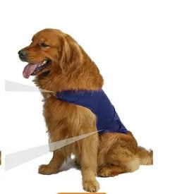 Brown brocade cotton dog anxiety tank top on a model dog, showing the casual tank top style.