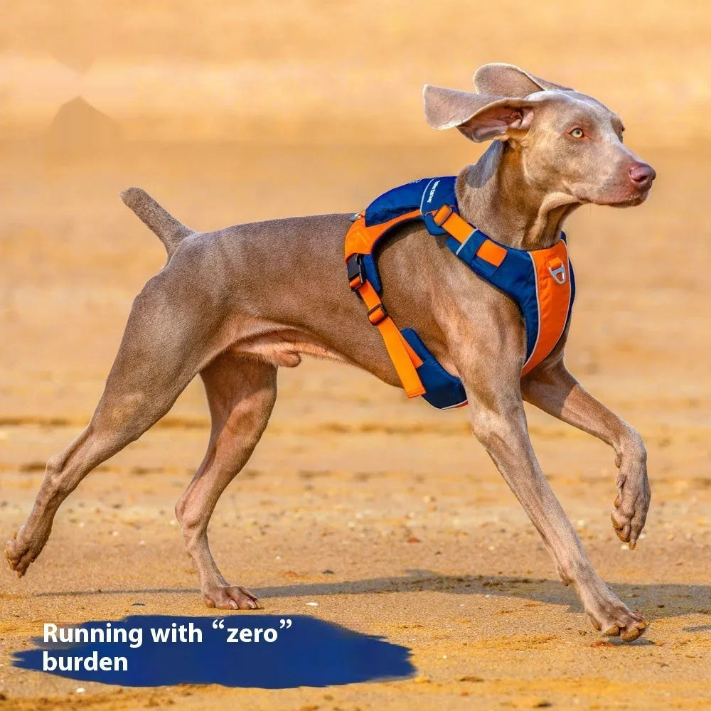 Orange blue nylon dog vest harness showing chest strap and back attachment points for secure pet control