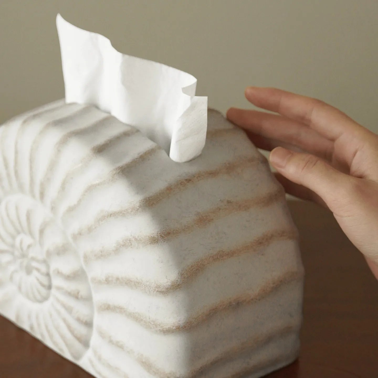 White resin tissue box with conch shell design, modern style, 24cm wide.