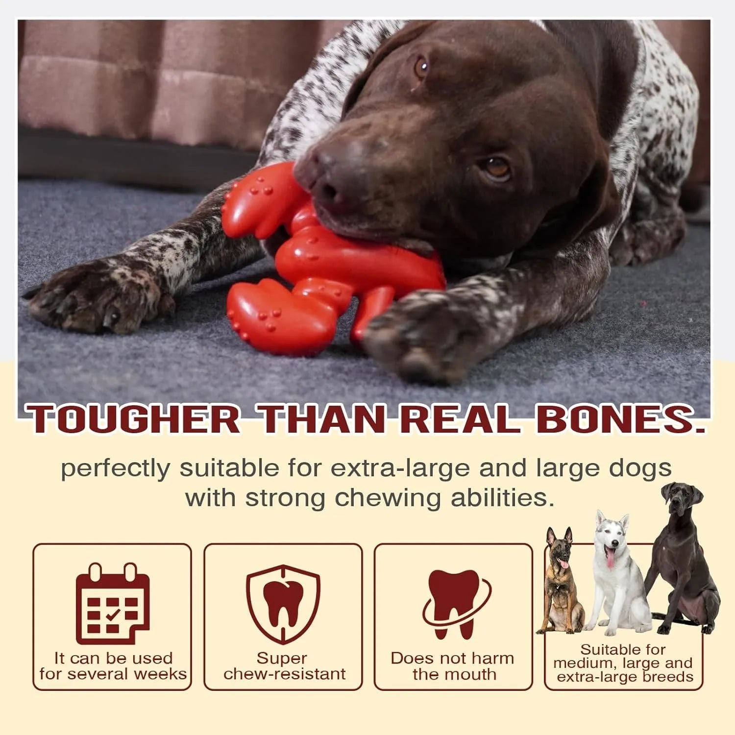 Red nylon chew toy for large dogs measuring 170mm with textured surface for dental cleaning