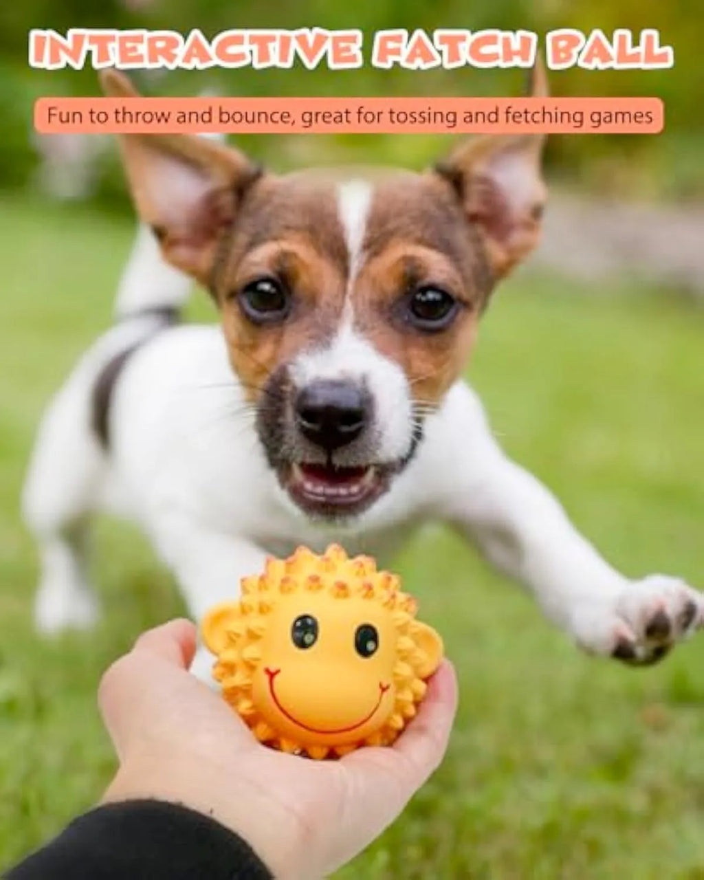 Orange or yellow spiky lamb or monkey latex squeaky dog toy for small medium breeds.