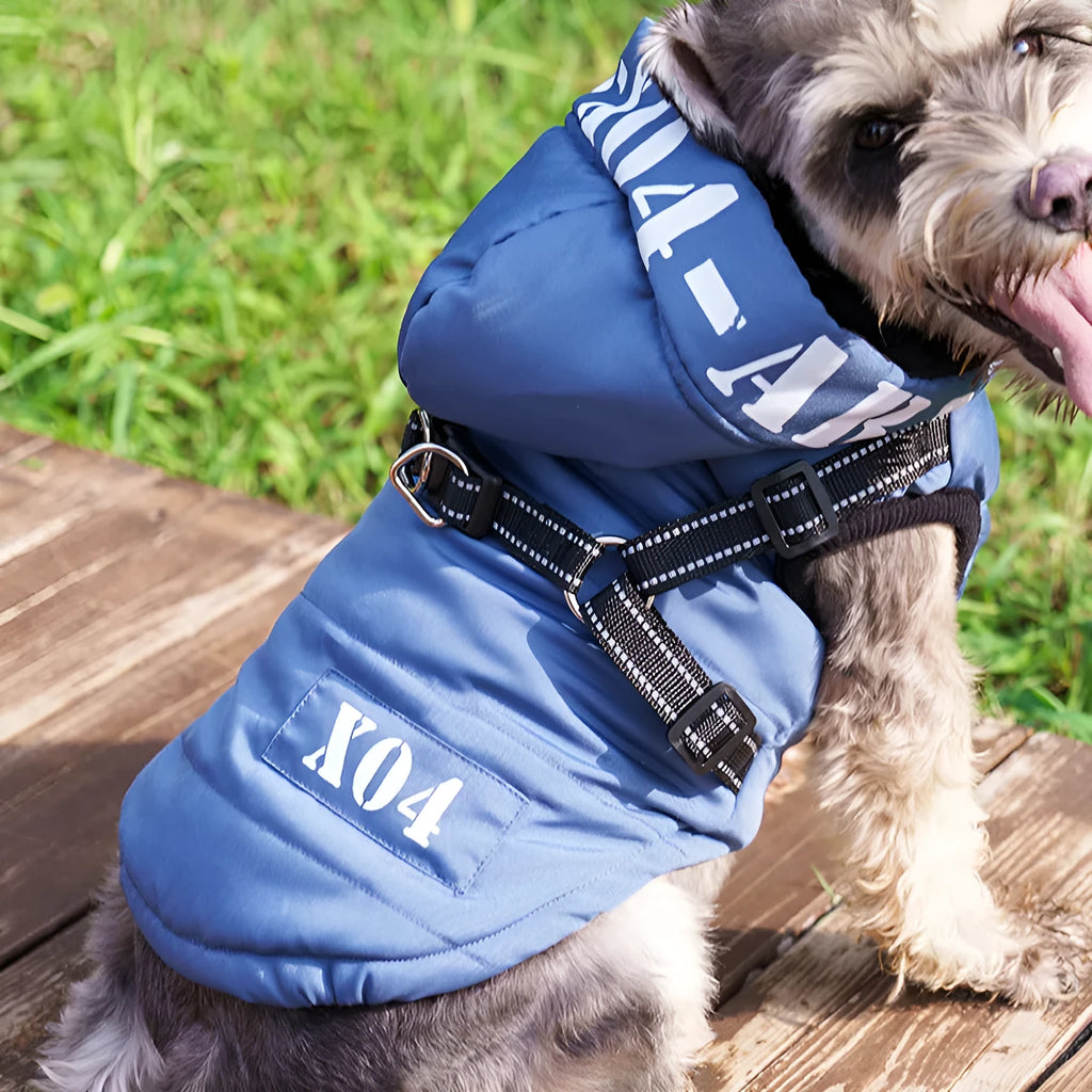 Fleece-lined waterproof dog winter jacket with hood in red colour on small dog