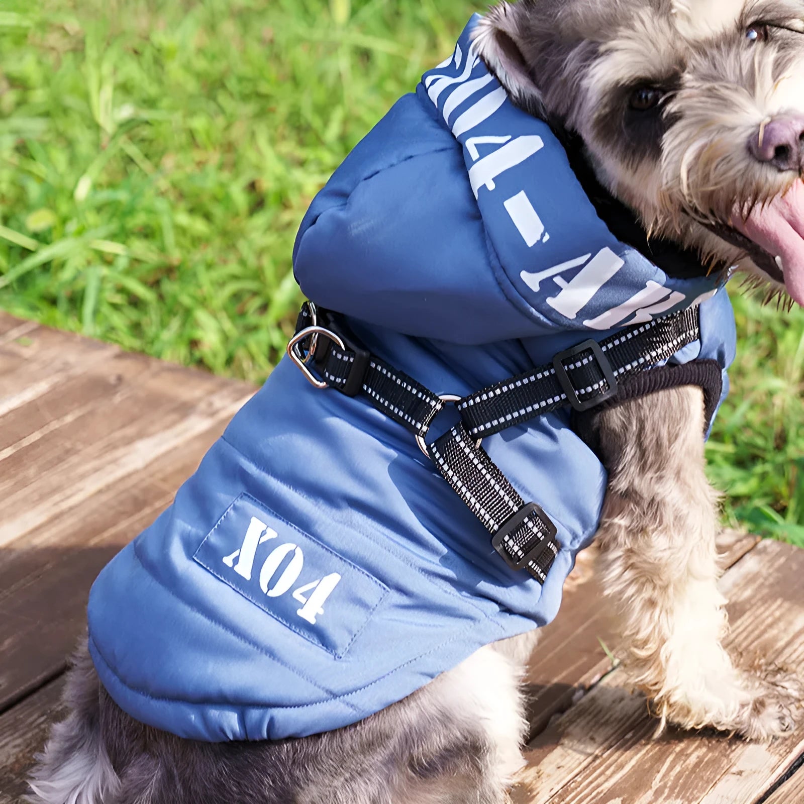 Fleece-lined waterproof dog winter jacket with hood in red colour on small dog