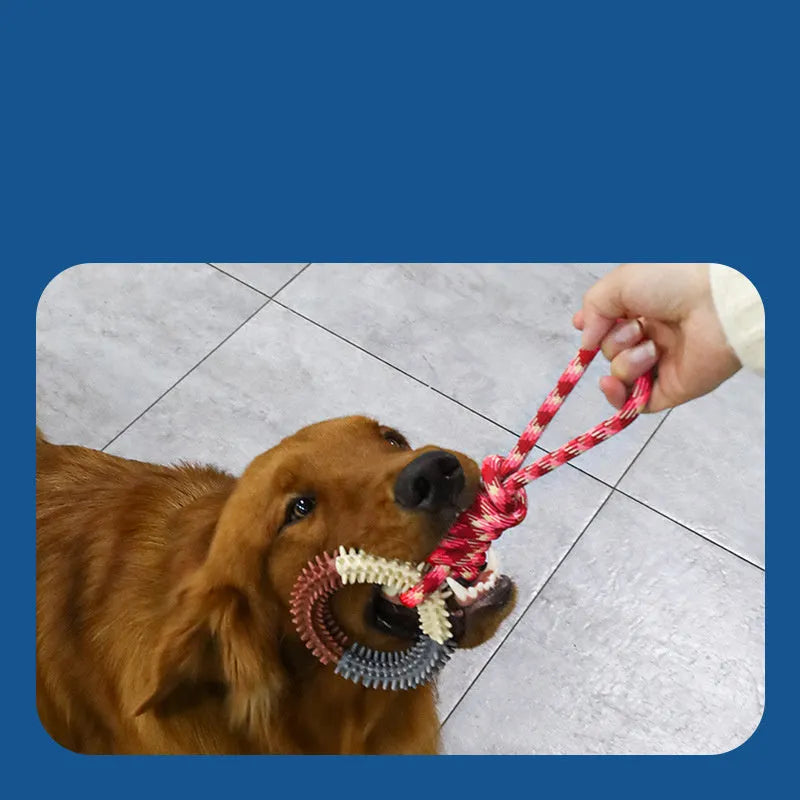 Blue, red, and rose red braided rope dog chew toy with knot design measuring 43cm long