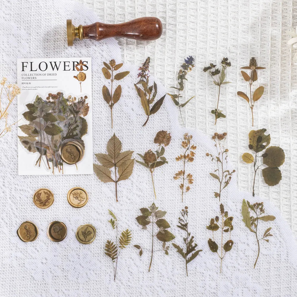 70mm square PET dried flower journal stickers showing eight colour themes including dark night purple and rose nebula