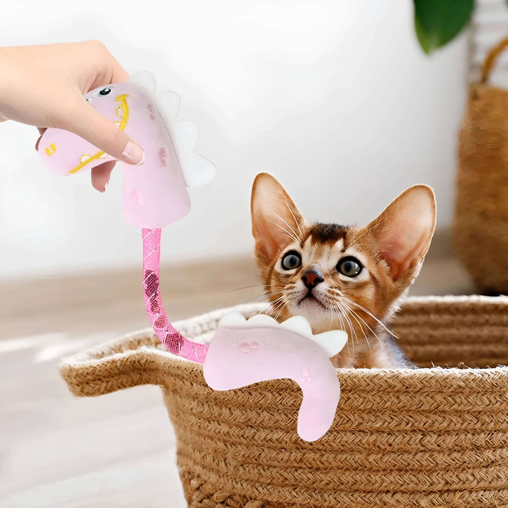 Set of four colourful plush cat toys including a mouse, fish, bunny, and chew toy on a white background.