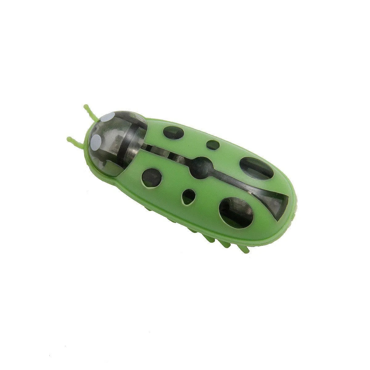 Electric jumping insect cat teaser toy showing miniature plastic construction with nano insect movement mechanism