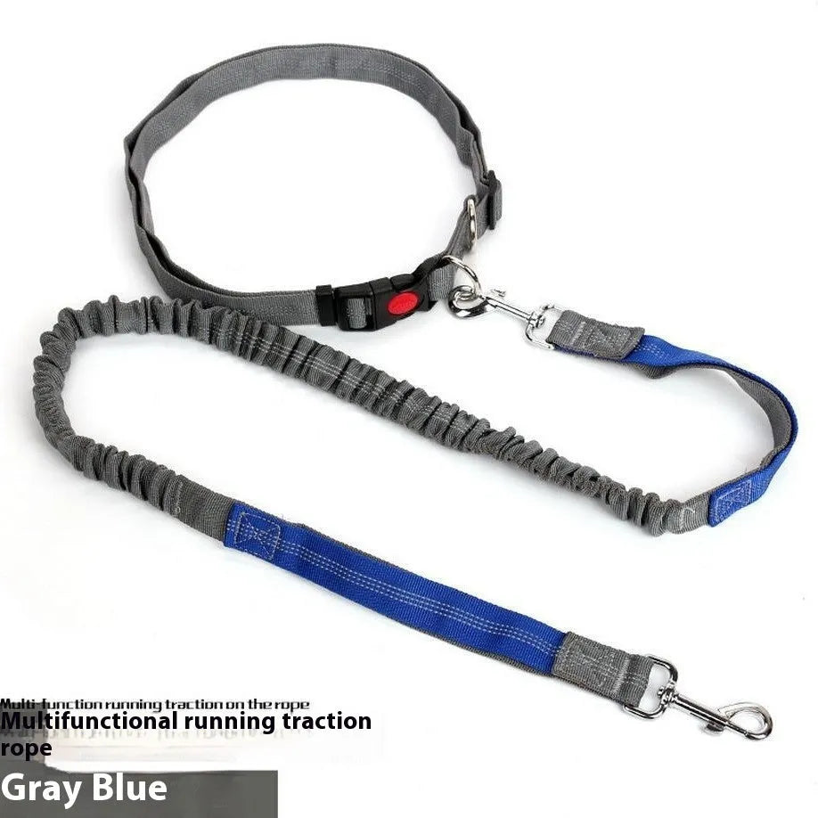 Grey and green reflective elastic dog running leash with a 2.5cm wide nylon strap.