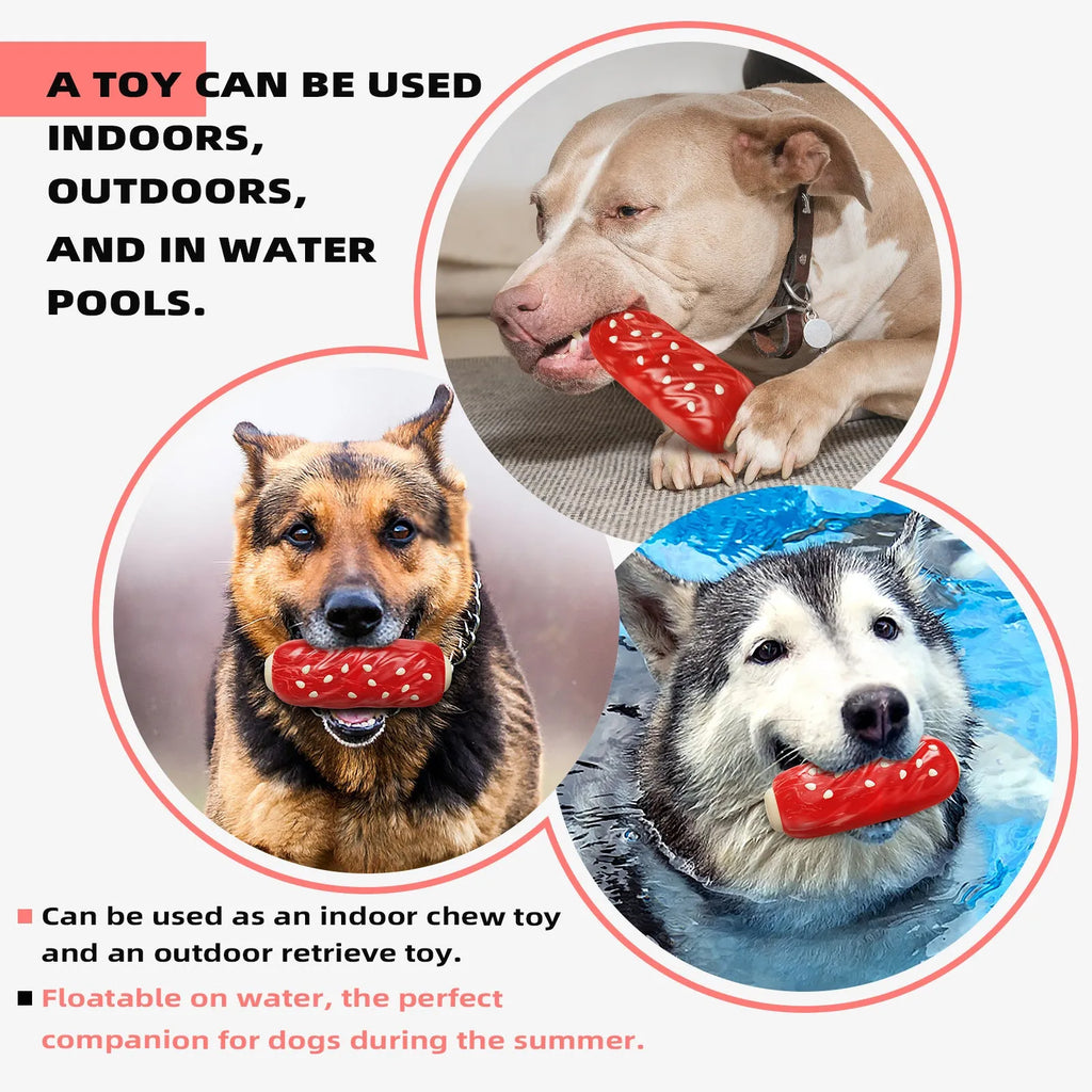 Primary colour plastic dog toy shaped with a molar rod for holding treats
