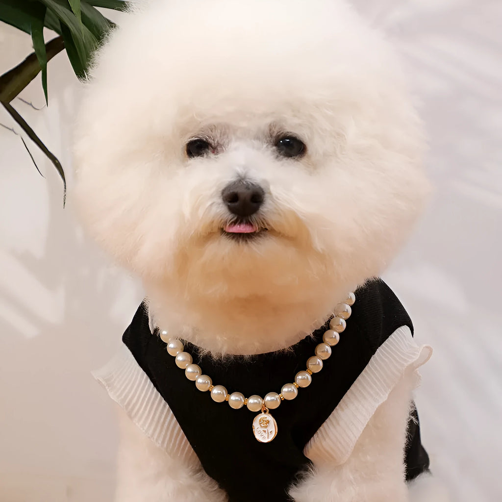 Retro plastic pearl necklace collar for pets with black rose flower design and adjustable scarf