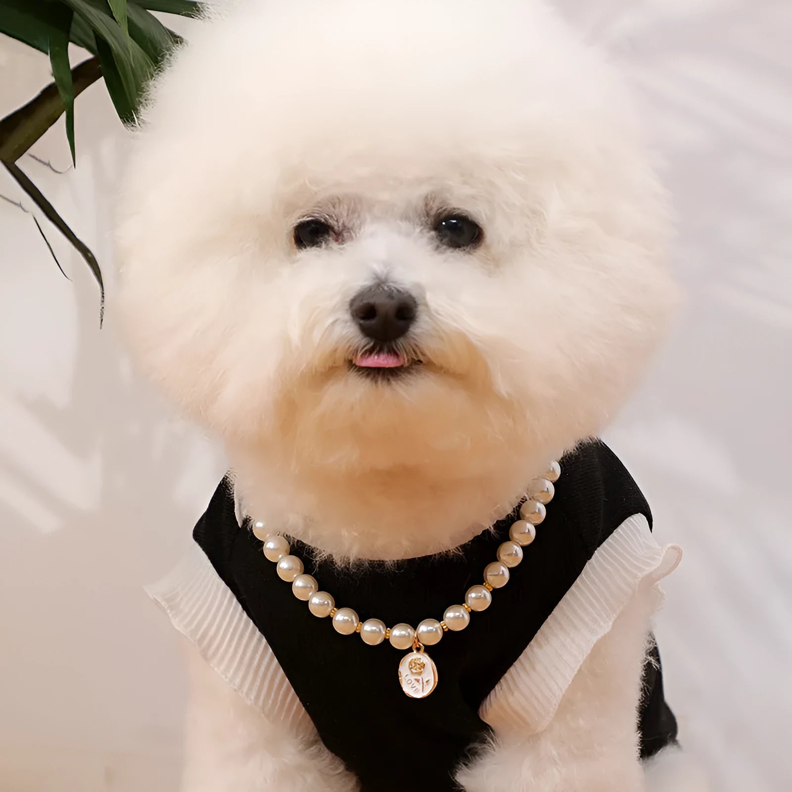 Retro plastic pearl necklace collar for pets with black rose flower design and adjustable scarf