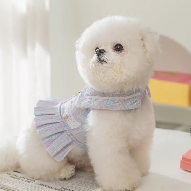 Purple and pink polyester pet clothes for cats and small dogs in four sizes
