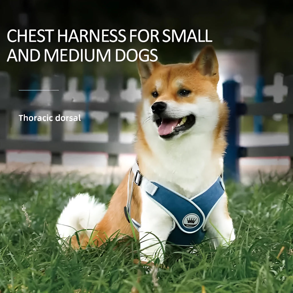 Adjustable dog cat harness with breathable mesh and metal back ring in multiple colours
