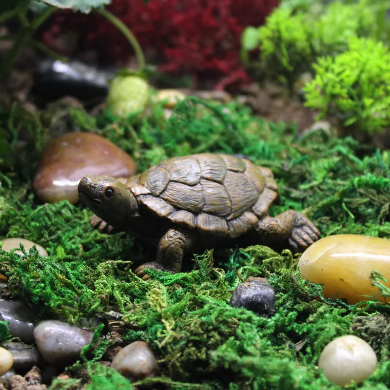 Small brown resin simulation turtle ornament for fairy garden or terrarium decoration.