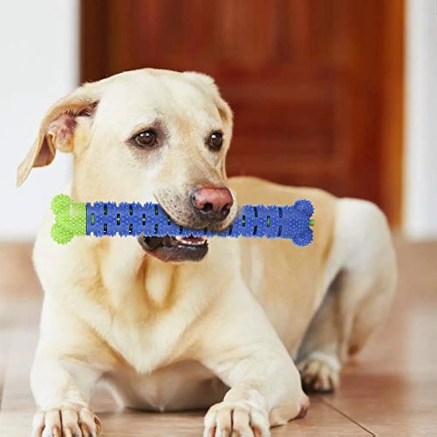 Blue green silicone dog dental cleaning stick with brush head and massage nodules for teeth and gum care