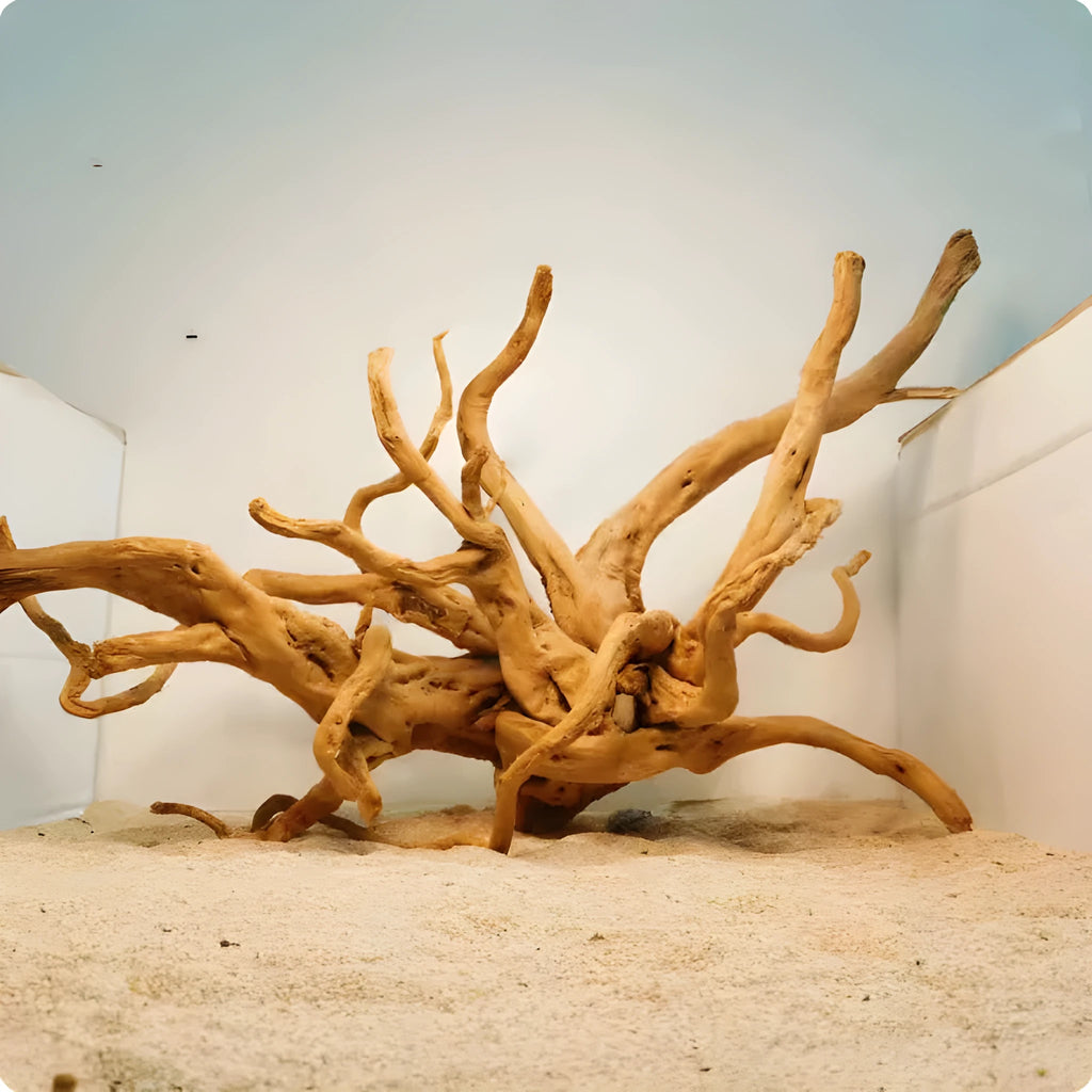 Natural Xiaoqi root wood aquarium decoration ornament in root style resembling Azalea root