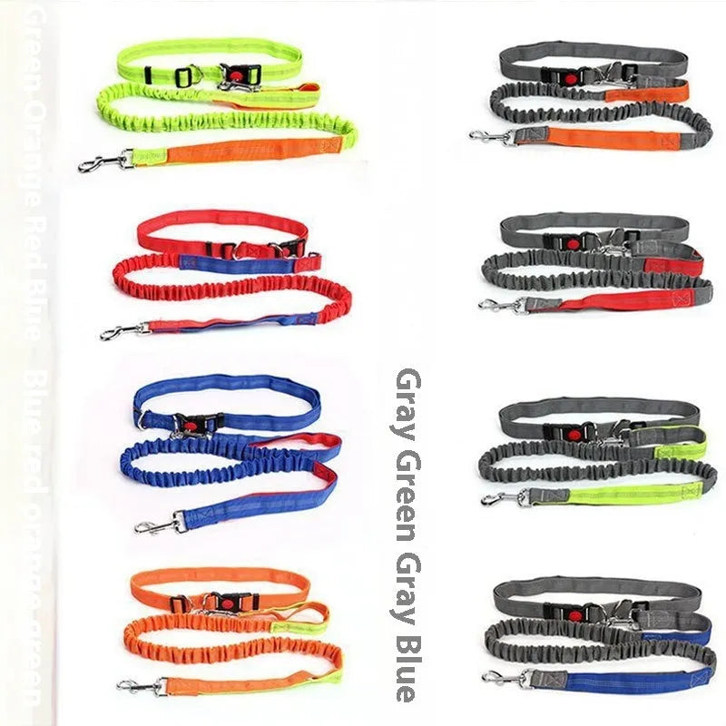 Grey and green reflective elastic dog running leash with a 2.5cm wide nylon strap.