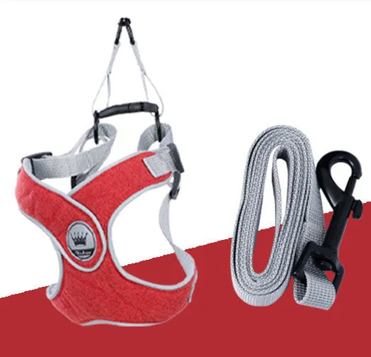 Adjustable dog cat harness with breathable mesh and metal back ring in multiple colours