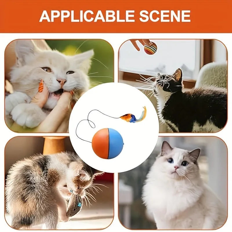 Interactive cat toy with blue and orange removable plush mouse attached to ball for feline exercise