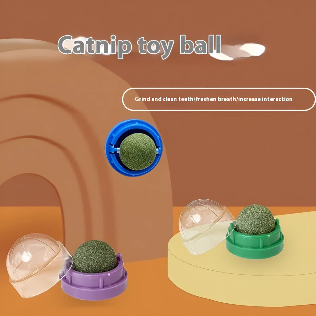 Plastic catnip ball toy in multiple colours for dental cleaning and stress relief