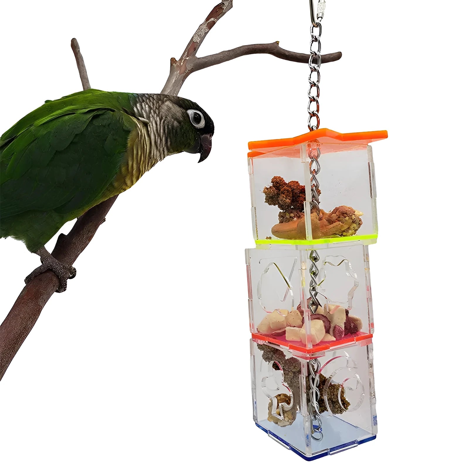 Clear acrylic bird foraging device educational toy for parrots measuring 5x5x32 cm
