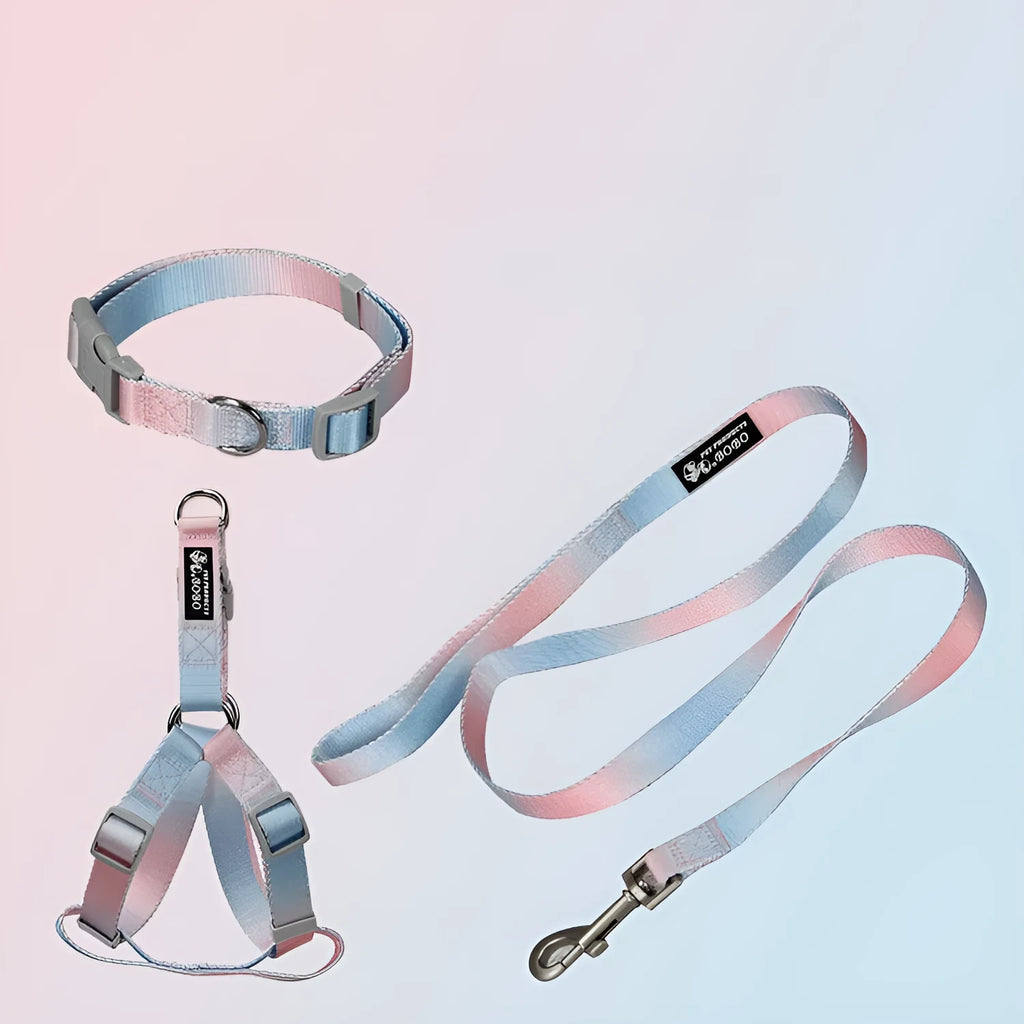 Gradient colour dog leash set showing pink and blue nylon collar and chest strap harness options