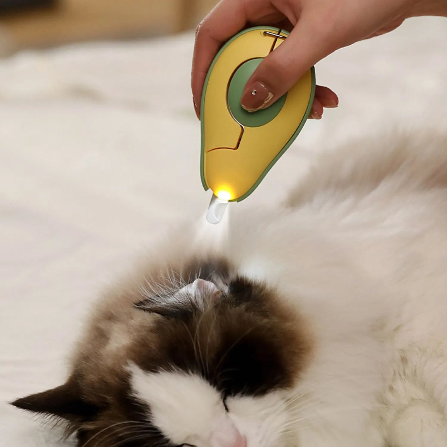 LED pet nail clipper for small dogs and cats with replacement blade in green colour