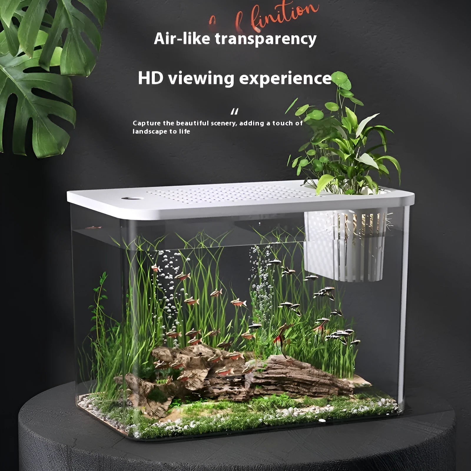 Black and white plastic betta fish tank with cover measuring 32cm by 18.5cm by 23cm