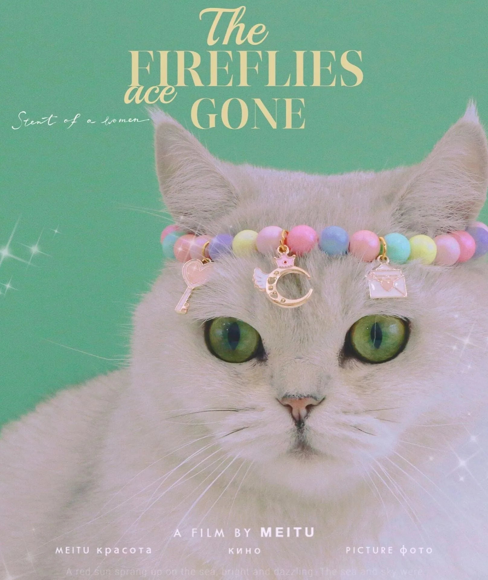 Pastel macaron charm pet collar with moon and rabbit designs on adjustable resin band for cats and dogs