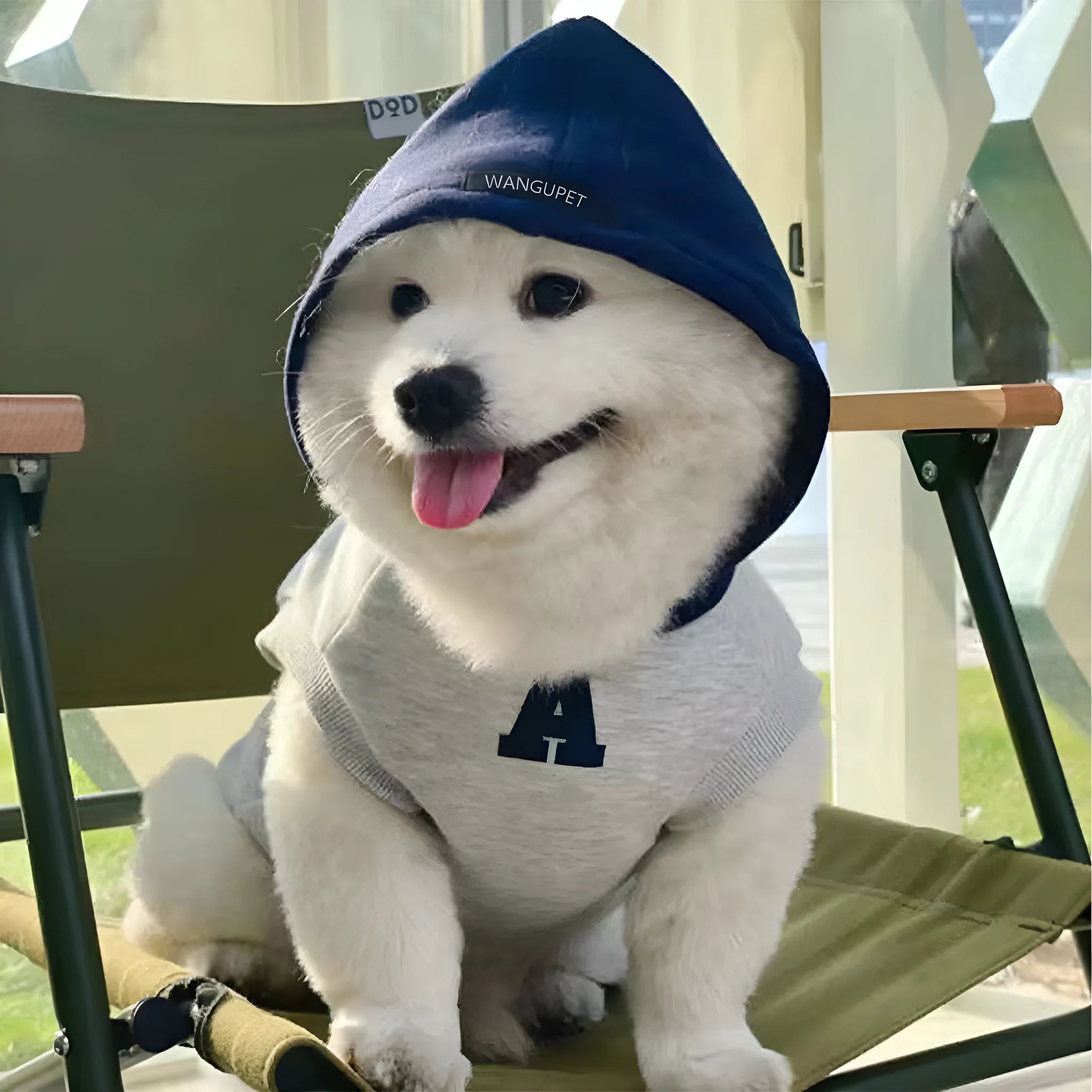 Blue slim-fit pet hoodie with reflective white letters on a dog, showing the hoodie's casual style and size.